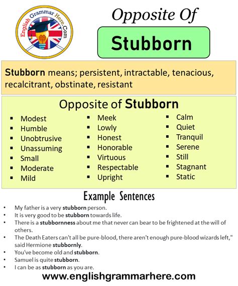 stubborn meaning and antonyms